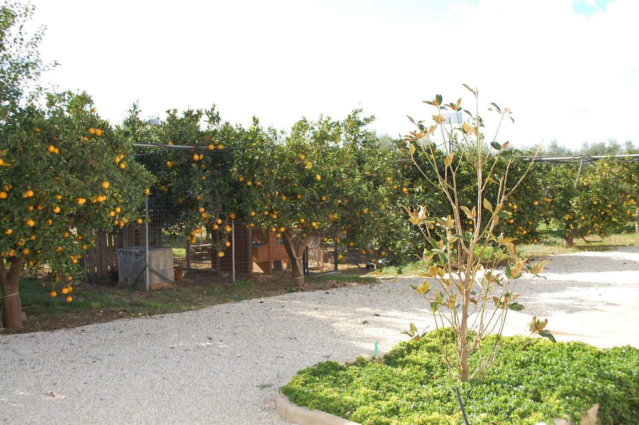 All'Ombra Del Carrubo - Metaponto Exterior photo